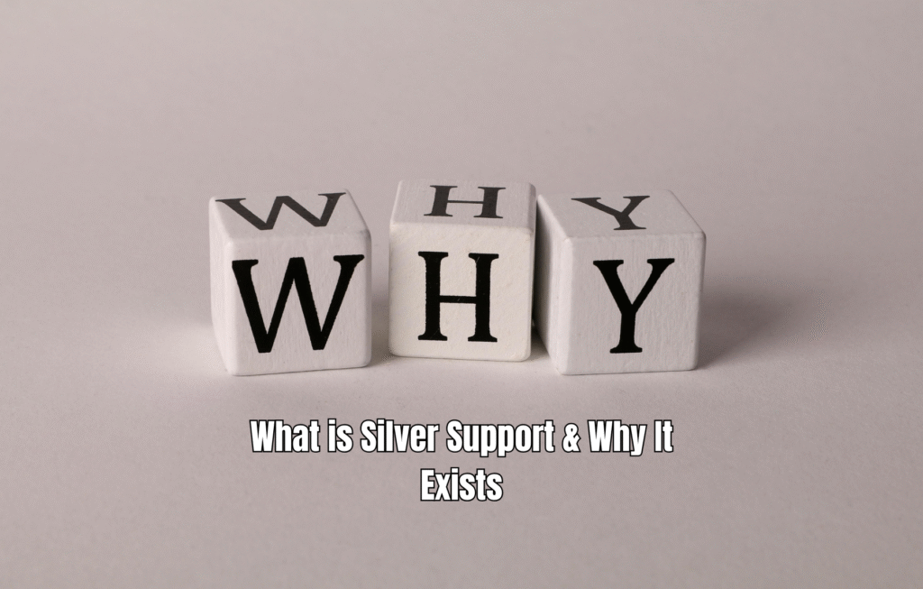 $1,080 Quarterly Aid in 2025 – Silver Support Scheme for Eligible Singapore Seniors