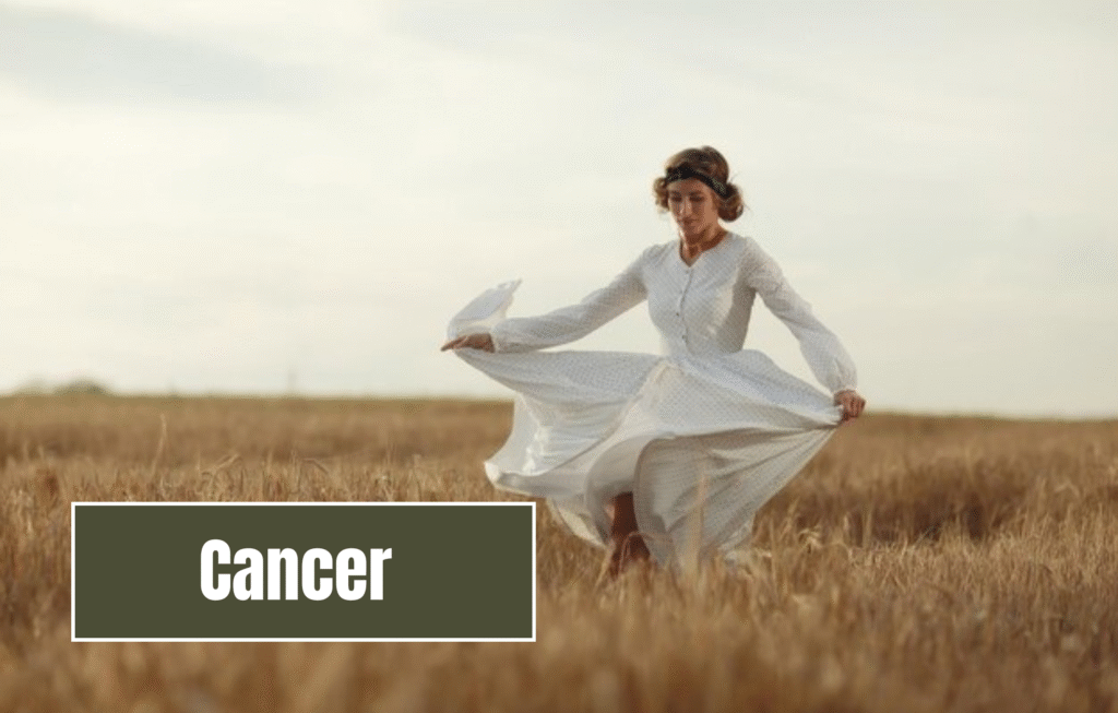 The 5 Most Peaceful Zodiac Signs Who Avoid Drama